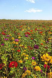 《铁血战士：杀戮之地》新海报曝光 艰难背水一战